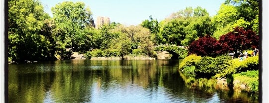 Central Park is one of Places to take Lexi Bright.