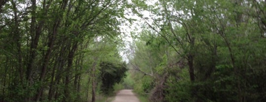 Lake Mineral Wells State Trailway Trailhead is one of Lugares favoritos de Amby.