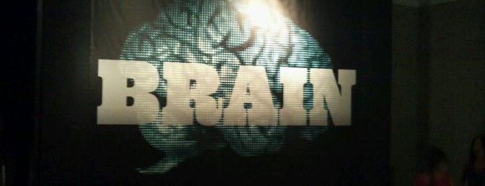 Brain Exhibit-AMNH is one of New York.