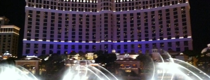 Fountains of Bellagio is one of Top picks for Scenic Lookouts in USA.