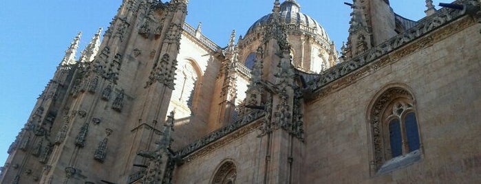 Catedral de Salamanca is one of Catedrales de España / Cathedrals of Spain.