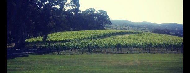 Nepenthe Wines is one of James & Mel's Adelaide Hills Wine Adventures.