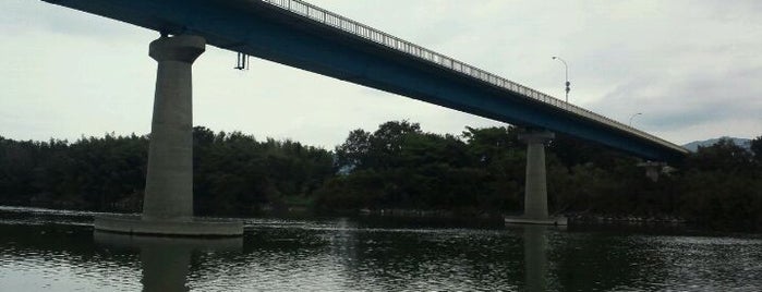 瀬詰大橋 is one of 吉野川に架かる橋.