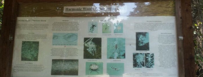 UF Harmonic Woods Preservation Area is one of สถานที่ที่ Lizzie ถูกใจ.