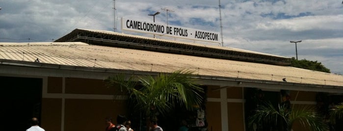 Camelódromo Municipal de Florianópolis is one of Downtown.