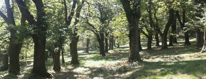 Castagneto di Rezzago is one of gite da milano.