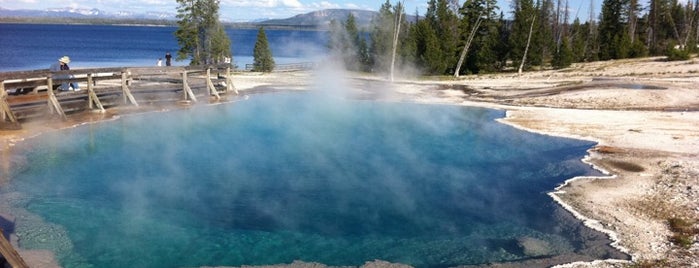 Yellowstone National Park is one of Trips around the world.