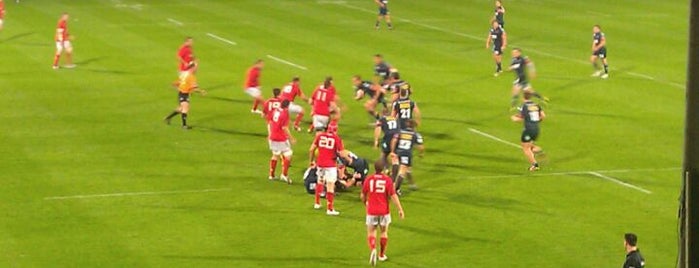 Musgrave Park is one of UK & Ireland Pro Rugby Grounds.