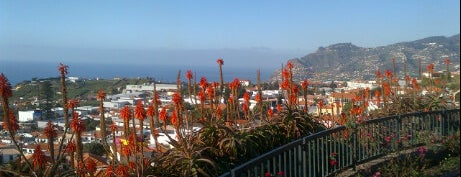 Miradouro do Pico dos Barcelos is one of Madeira.