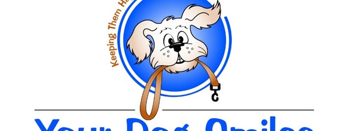 Your Dog Smiles Pet Services is one of Best of NoVA 2012: Services.