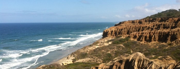 Torrey Pines State Natural Reserve is one of San Diego.