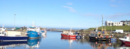 North Sunderland Harbour is one of Eliseさんの保存済みスポット.