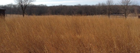 Lake Carlos State Park is one of Minnesota State Parks.