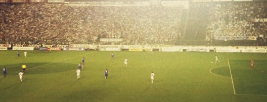 Estadio São Januário is one of Estádios de Futebol.