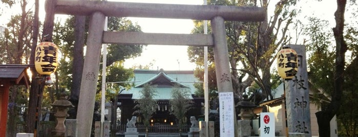 お三の宮日枝神社 is one of ぎゅ↪︎ん 🐾🦁 : понравившиеся места.