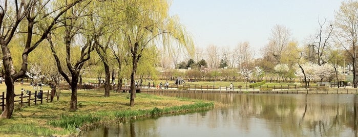 Yongsan Family Park is one of Best in Seoul 3.