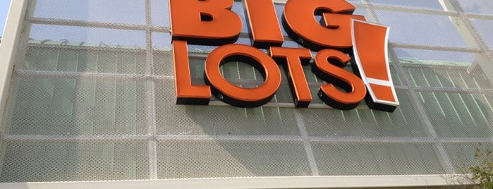 Big Lots is one of Best friends tips.
