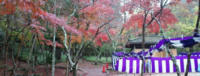Zuihōji Park is one of 日本の歴史公園100選 西日本.