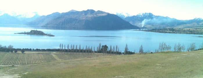 Rippon Vinyard & Winery is one of Amazing adventures in Queenstown.