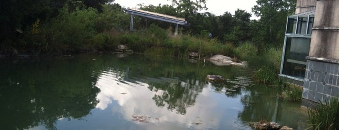 Austin Nature & Science Center is one of Parks and Outdoor.