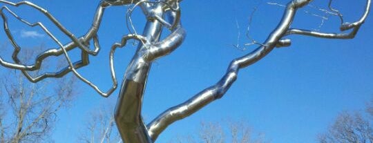 "Stainless Steel Tree" by Roxy Paine is one of Fayetteville-Springdale AR.