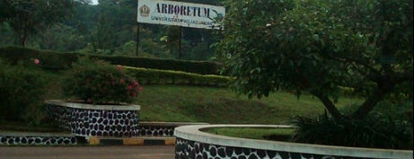 Arboretum Universitas Padjadjaran is one of Guide to Bandung.