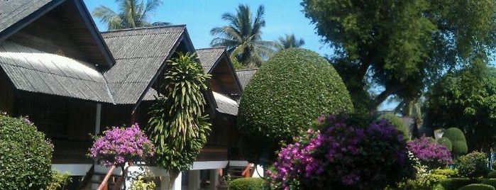 Shangrilah Bungalow is one of Armaさんのお気に入りスポット.