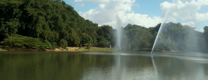 Parque Areião is one of Goiânia/GO.