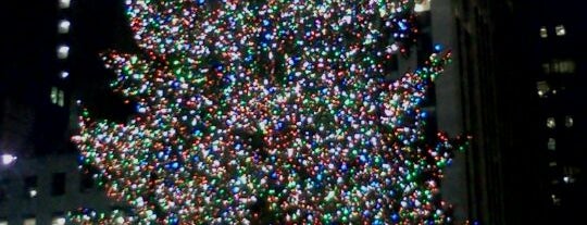 Rockefeller Center Christmas Tree is one of dove mi pikacerebbe andare.