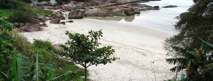 Prainha do Leste is one of Floripa Golden Isle.