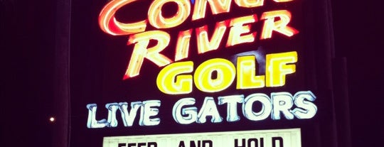 Congo River Golf is one of Miniature Golf.