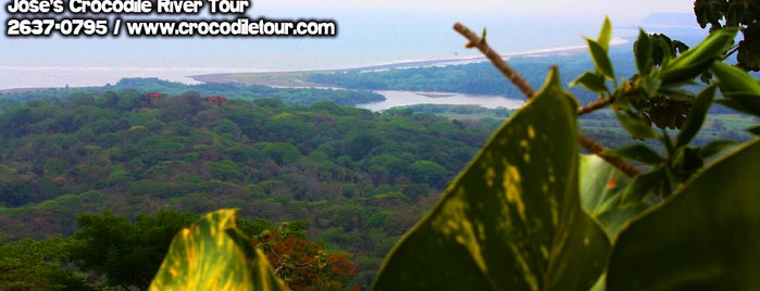 Jose's Crocodile River Tour is one of Top 10 places to try this season.