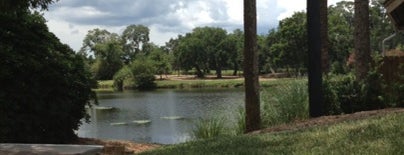 Sawgrass Marriott Golf Resort and Spa is one of Lugares favoritos de Shamus.