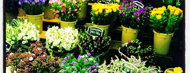 Flower Market is one of My Amsterdam.