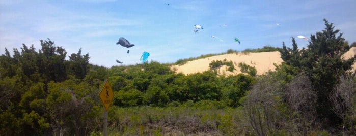 Kitty Hawk Kites is one of The Outer Banks Tours.