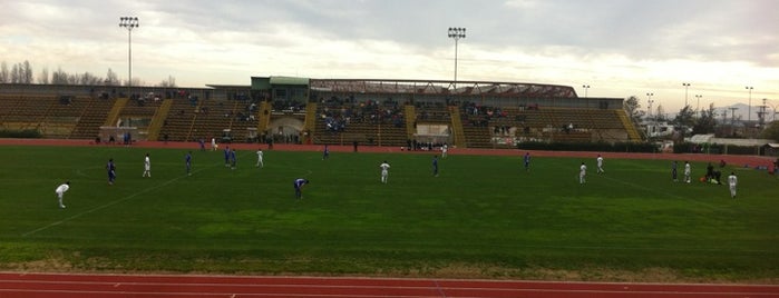 Estadio Municipal de La Pintana is one of Estadios Chile.