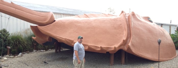 World's Largest Horseshoe Crab is one of Road Trip.