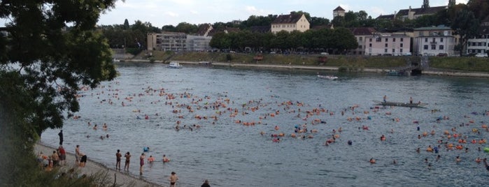 Rheinschwimmen is one of Basel.