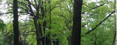 Парк Кронвальда is one of Riga.