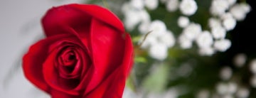 Gillespie Florists is one of The 15 Best Places for Roses in Indianapolis.