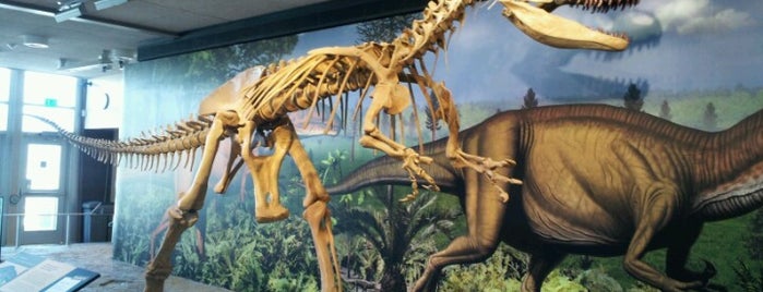 Dinosaur National Monument is one of Explore Utah.