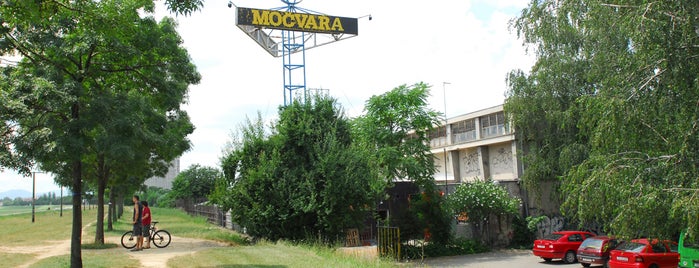 Klub Močvara is one of Done.