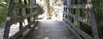 Gainesville College Mtn Bike Trail is one of Lugares favoritos de Super.