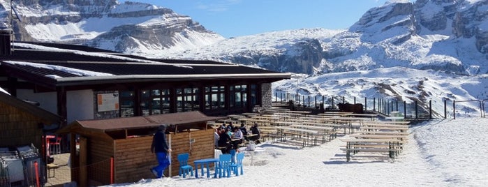 Chalet Fiat  is one of Madonna di Campiglio.