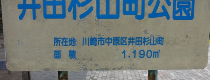 井田杉山町公園 is one of 遊び場.
