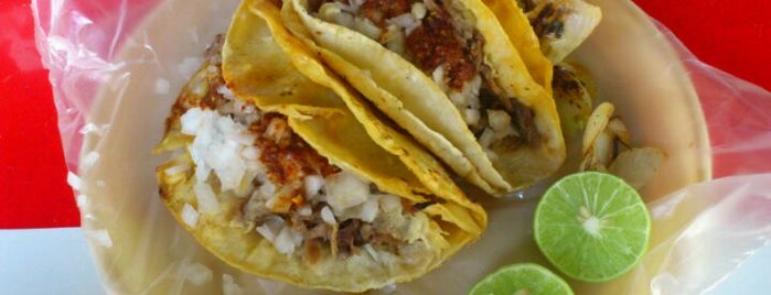 Tacos de Barbacoa el Aguila is one of Guadalajara.