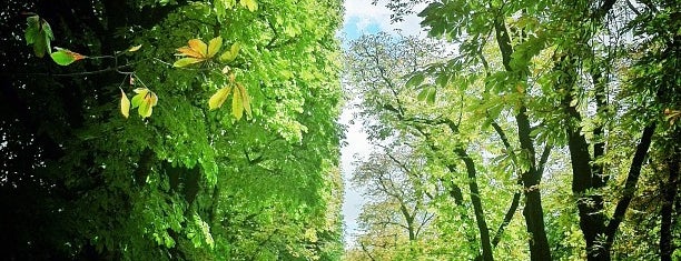 Luxembourg Garden is one of París 2012.