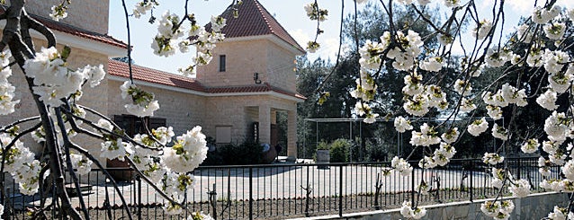 Lambouri Winery is one of Cyprus.