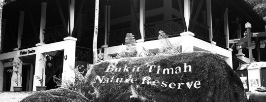 Bukit Timah Nature Reserve is one of Trek Across Singapore.