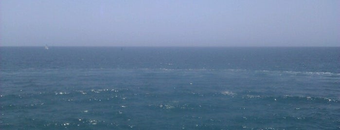 Pacific Ocean is one of Lieux qui ont plu à Tom.
